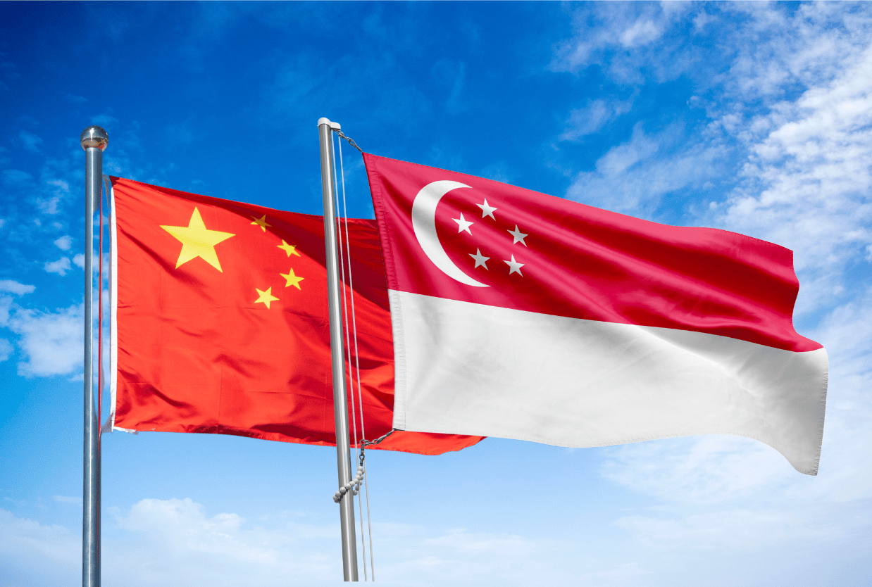 领航国际官方网站图片