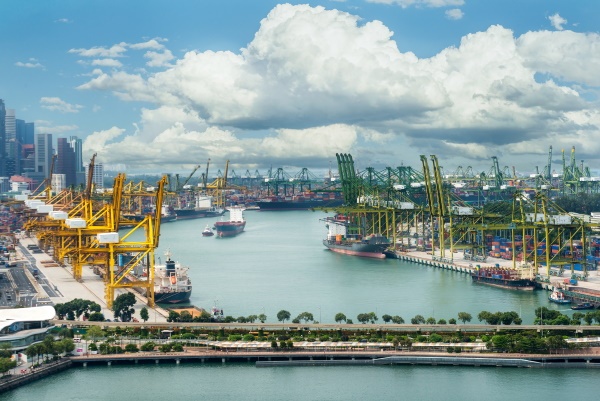 supply_chain 领航国际官方网站图片
